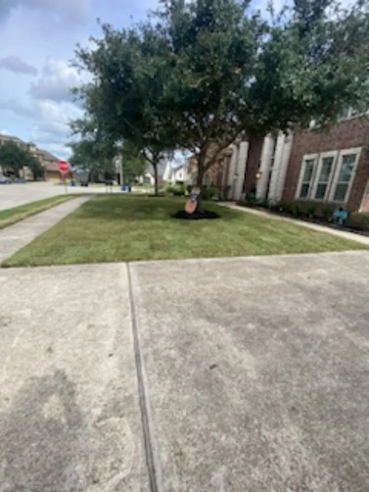 Reliable outdoor landscaping for residential properties across Houston, TX - Rolando Najera Lawn Care And Maintenance