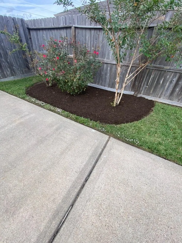 Trusted yard cleanup service in Houston, TX - Rolando Najera Lawn Care And Maintenance
