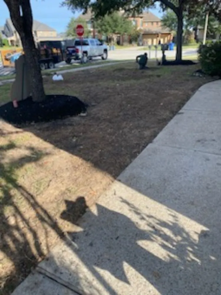 Trusted lawn care service experts serving Houston, TX - Rolando Najera Lawn Care And Maintenance