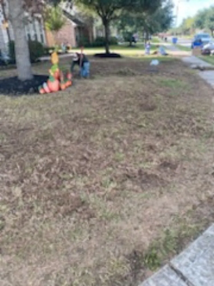 Trusted yard maintenance for homes across Houston, TX - Rolando Najera Lawn Care And Maintenance