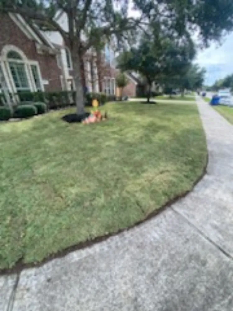 Affordable lawn care service in Houston, TX by Rolando Najera Lawn Care And Maintenance