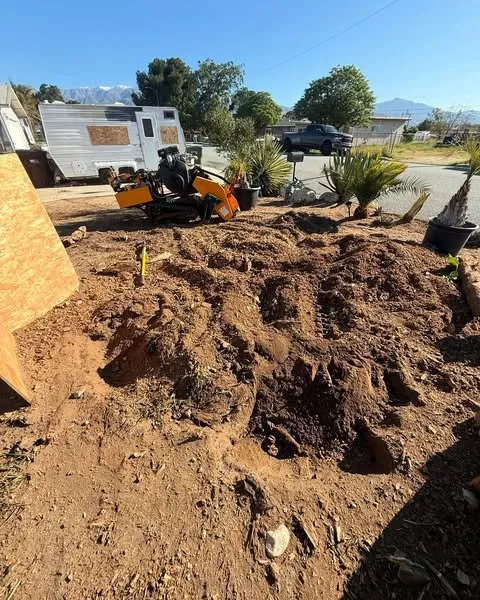 Trusted yard cleanup service in Hemet, CA by Rolando’s Landscaping