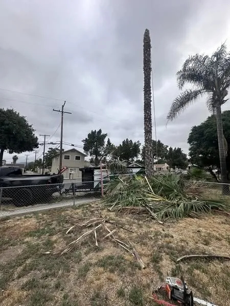 Top-rated residential landscaping in Hemet, CA by Rolando’s Landscaping