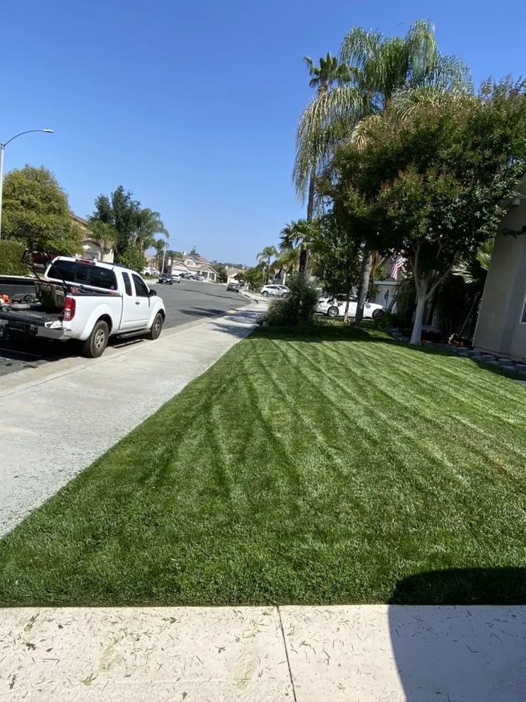 Expert lawn care service in Hemet, CA - Rolando’s Landscaping