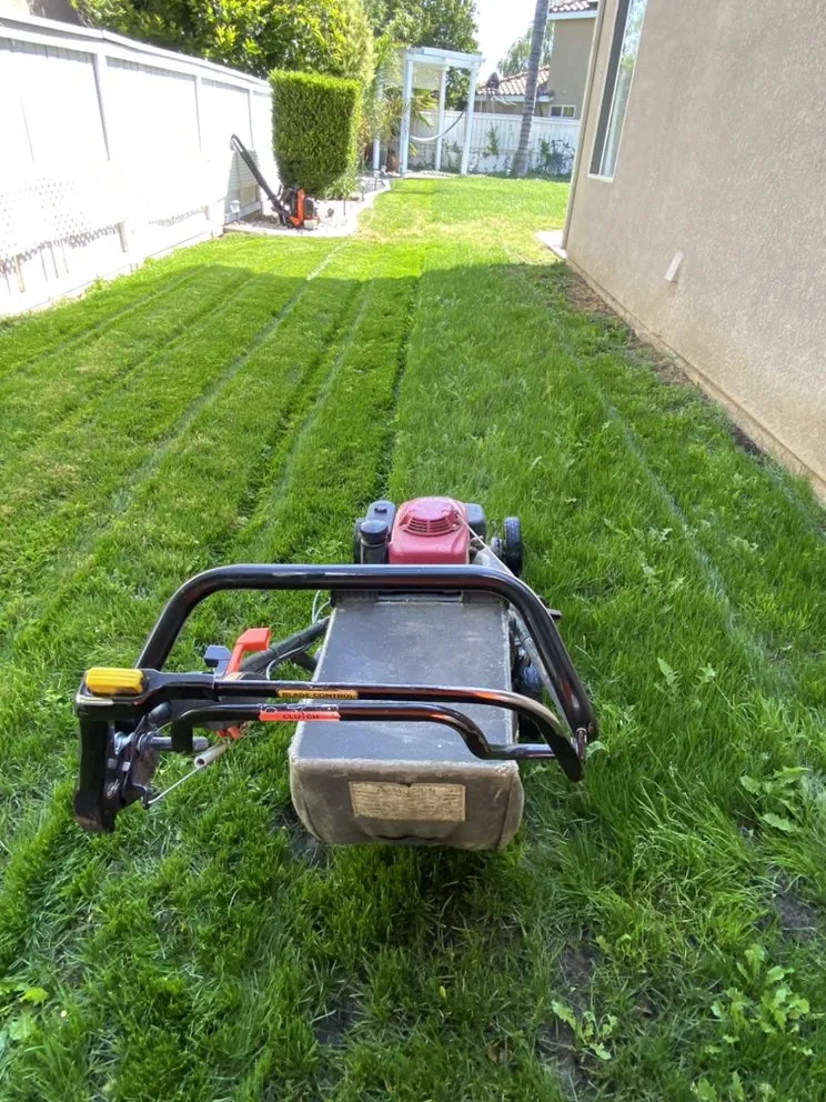 Reliable outdoor landscaping for homes in Hemet, CA by Rolando’s Landscaping