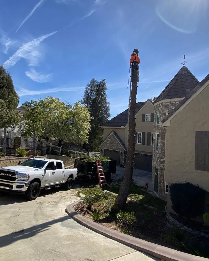 Professional outdoor landscaping in Hemet, CA - Rolando’s Landscaping