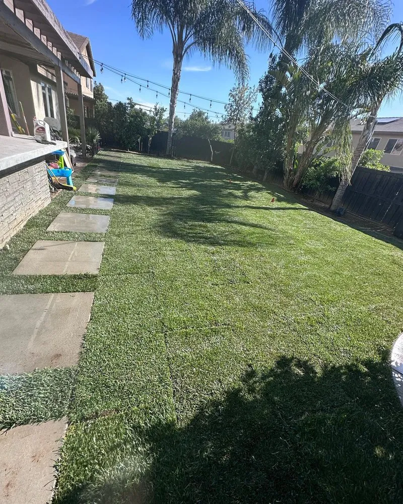 Trusted lawn care service experts serving Hemet, CA - Rolando’s Landscaping