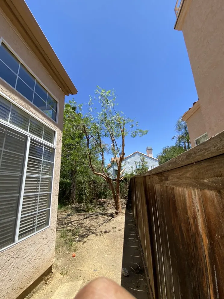 Top-rated landscape design in Hemet, CA by Rolando’s Landscaping