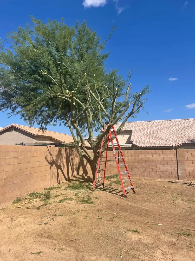 Reliable landscape design in Phoenix, AZ - Rolando's Landscaping