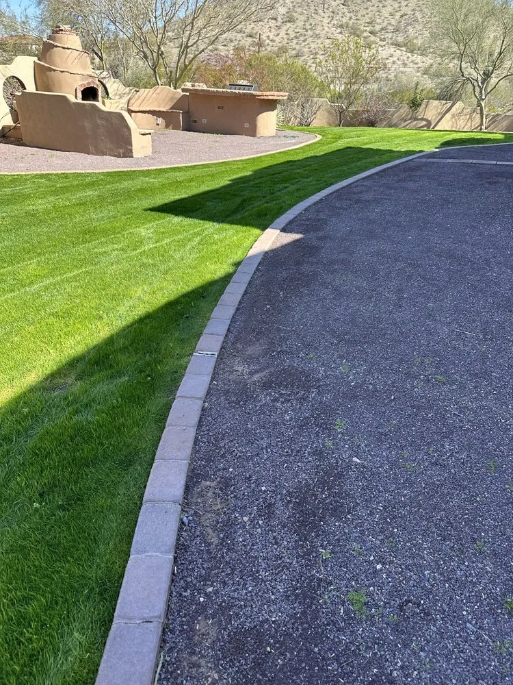 Reliable yard cleanup service in Phoenix, AZ - Rolando's Landscaping