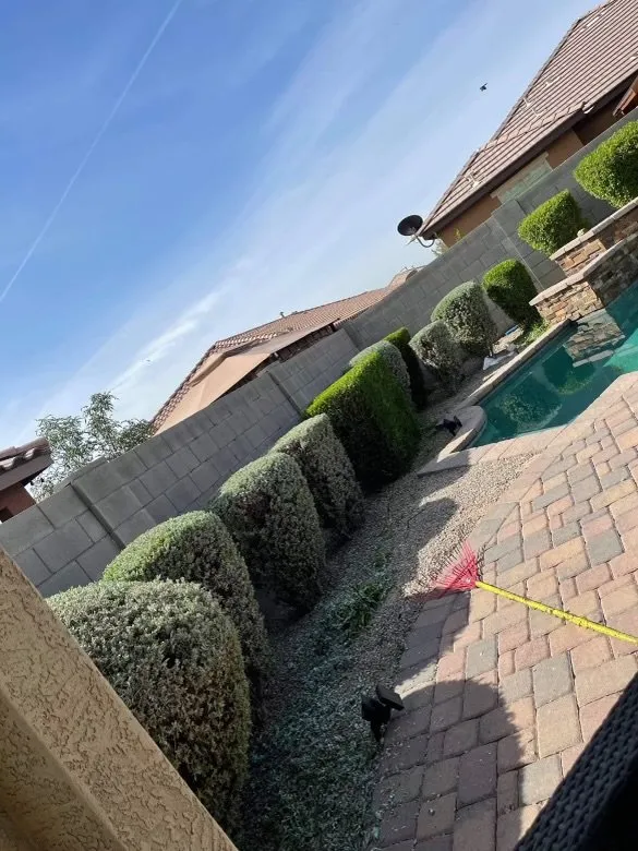 Local outdoor landscaping for residential properties across Phoenix, AZ - Rolando's Landscaping