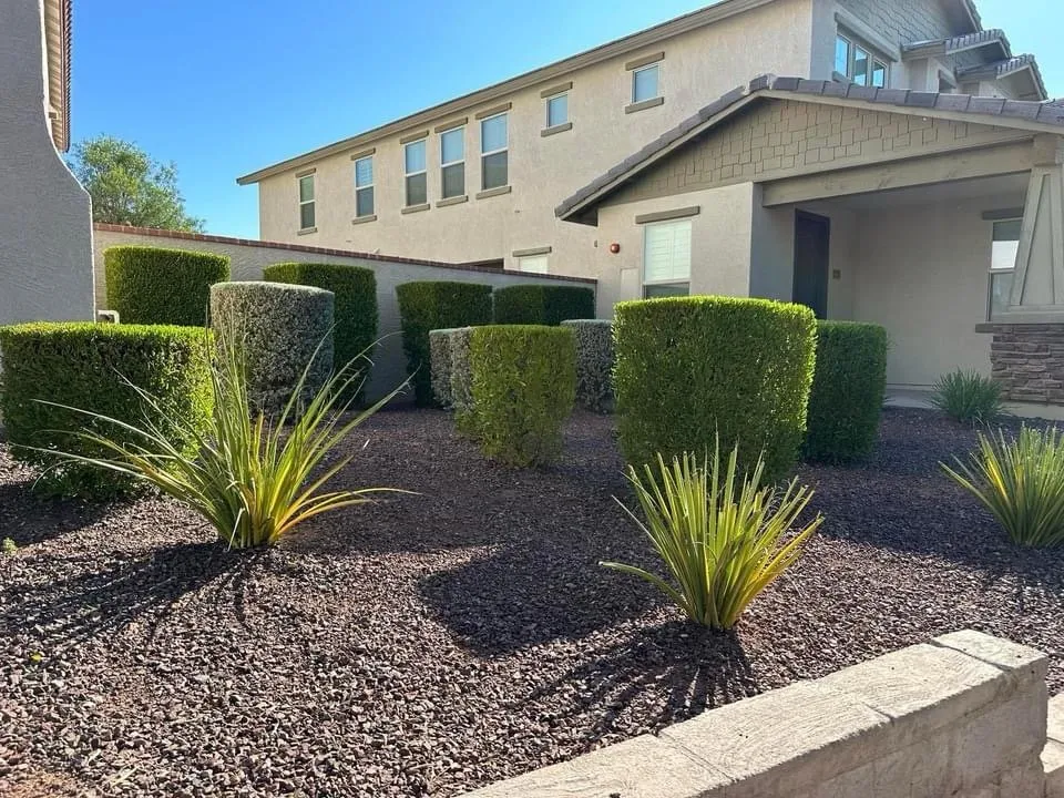 Top-rated landscape installation for residential properties in Phoenix, AZ by Rolando's Landscaping