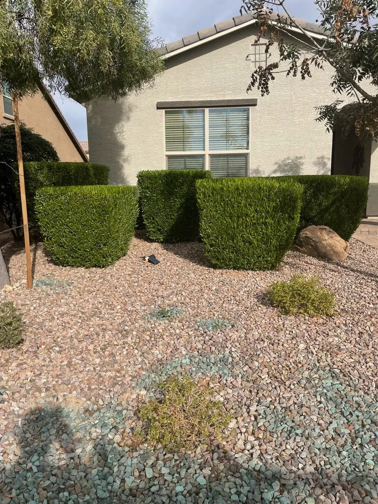 Professional landscape design in Phoenix, AZ by Rolando's Landscaping