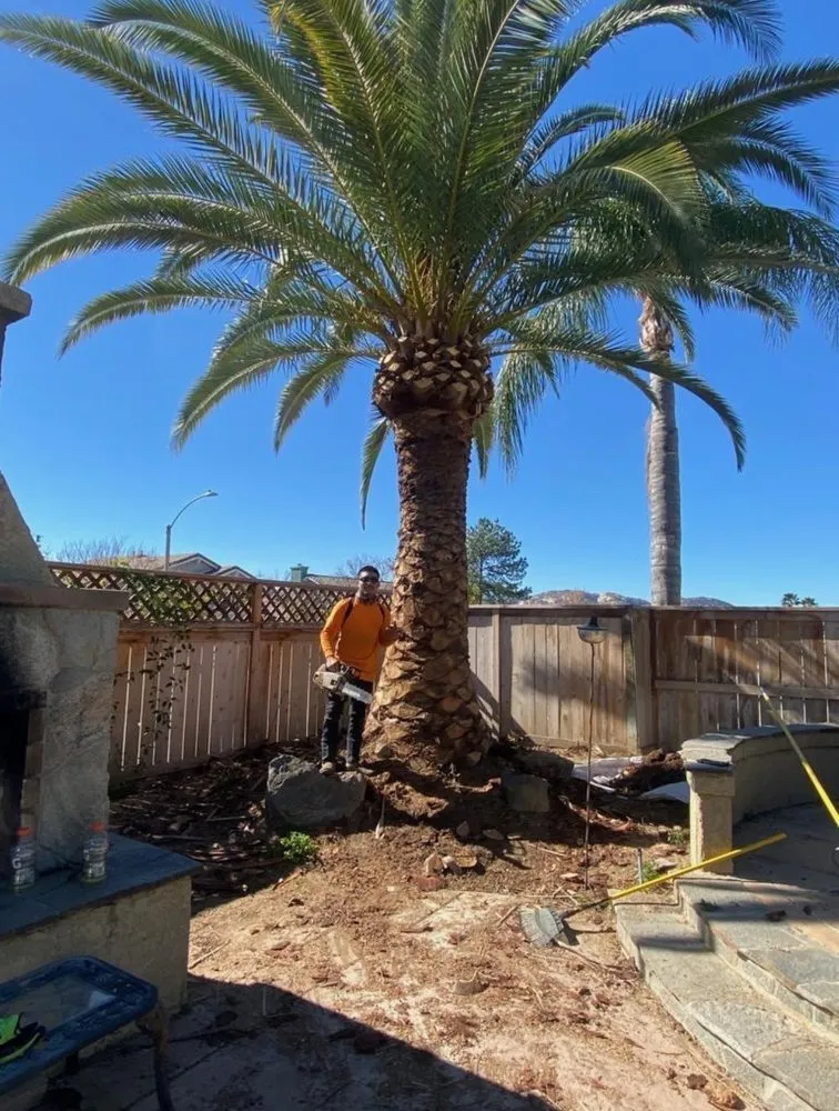 Expert landscape installation in Hemet, CA by Rolando’s Tree Service