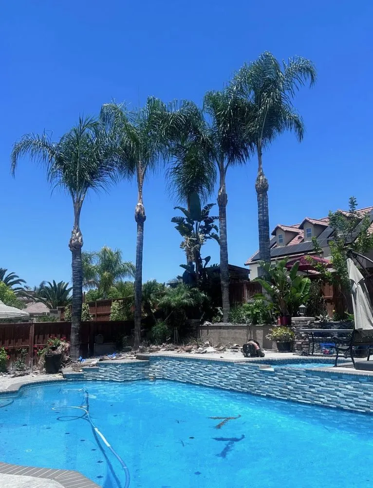 Professional landscape installation in Hemet, CA - Rolando’s Tree Service