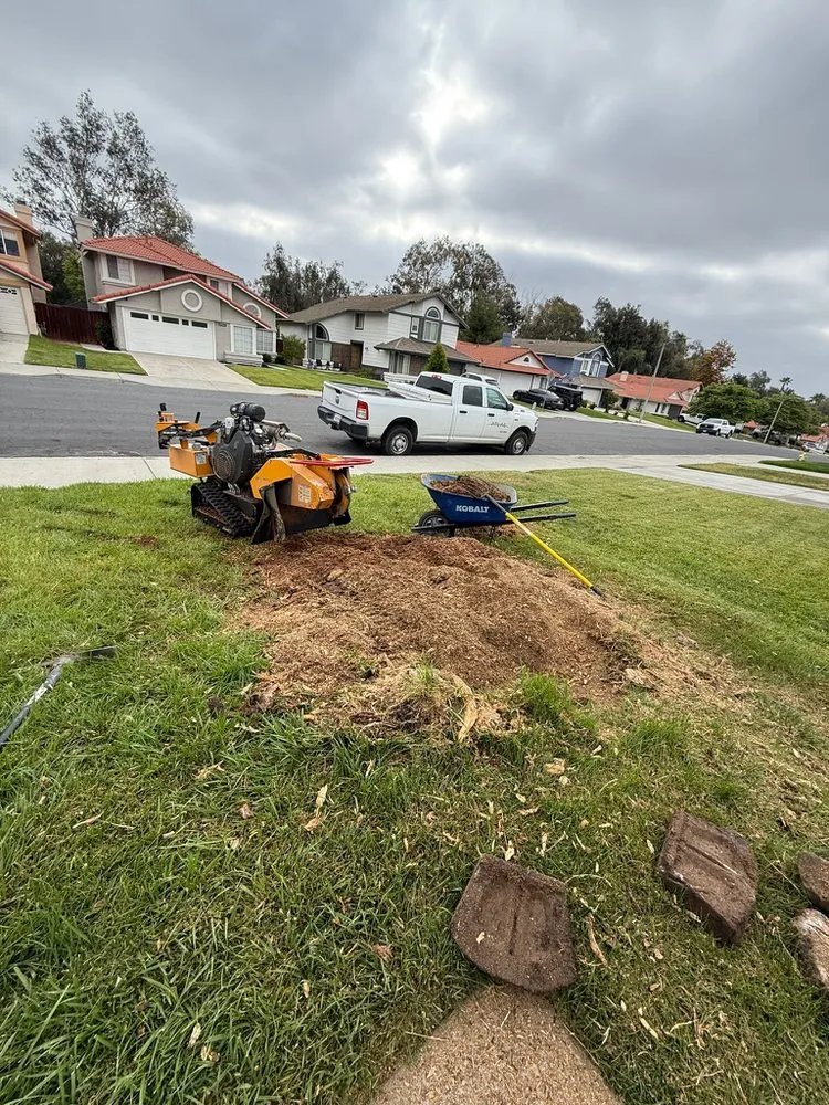 Trusted landscape design in Hemet, CA - Rolando’s Tree Service