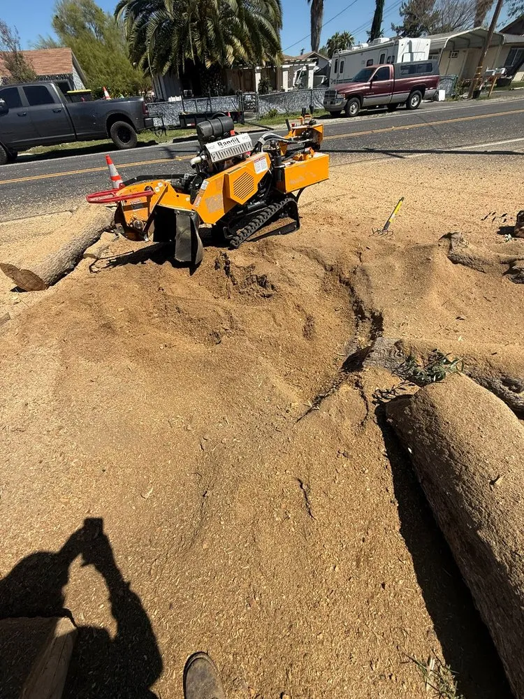 Trusted garden landscaping for year-round maintenance across Hemet, CA - Rolando’s Tree Service