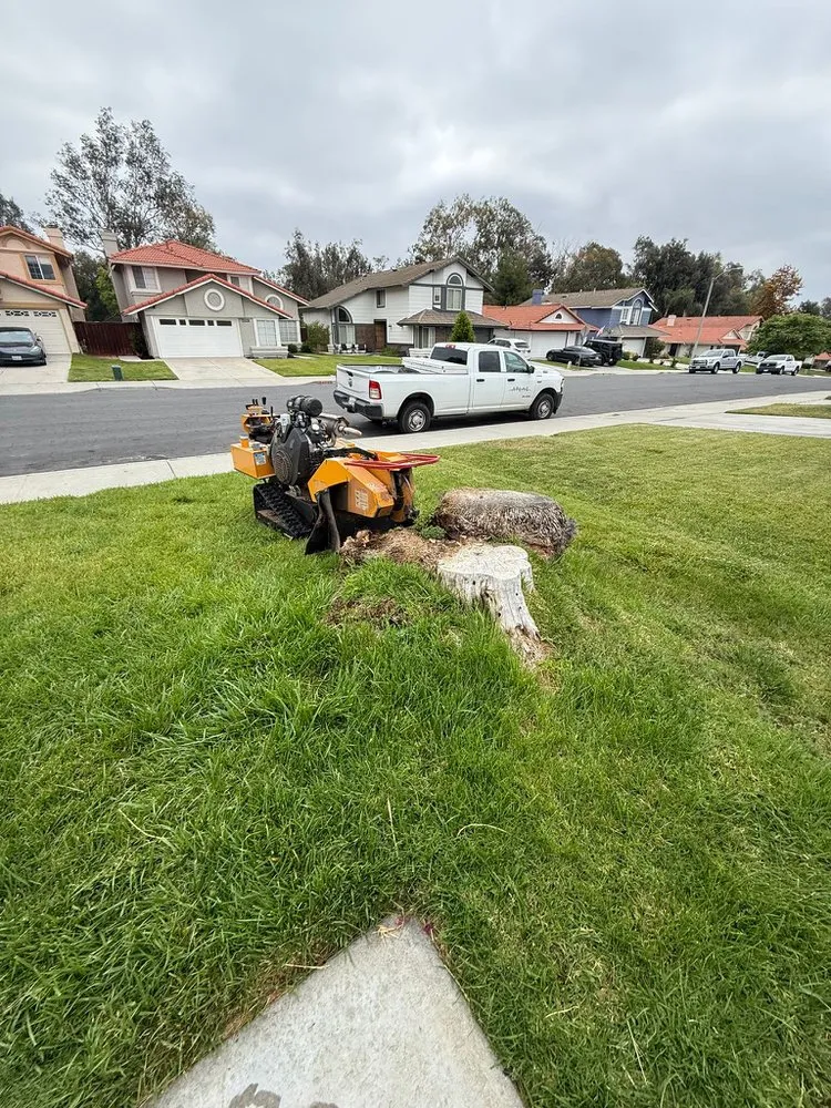 Professional outdoor landscaping experts serving Hemet, CA - Rolando’s Tree Service