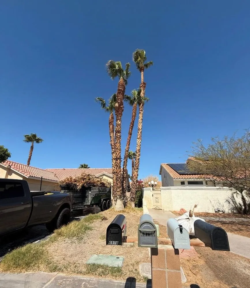 Top-rated landscape installation near you in Hemet, CA by Rolando’s Tree Service