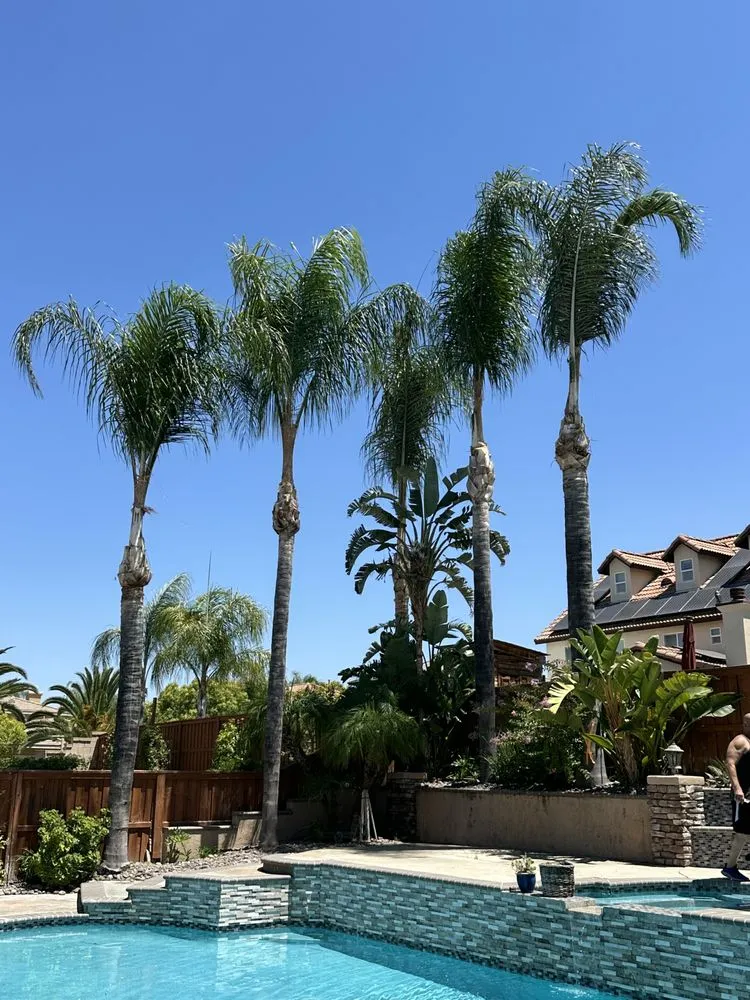 Trusted landscaping services in Hemet, CA - Rolando’s Tree Service