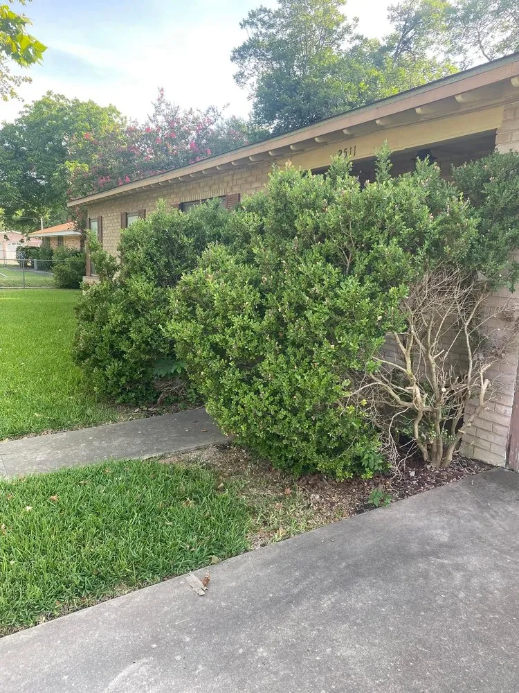 Expert yard maintenance in San Antonio, TX by Roland’s Landscaping