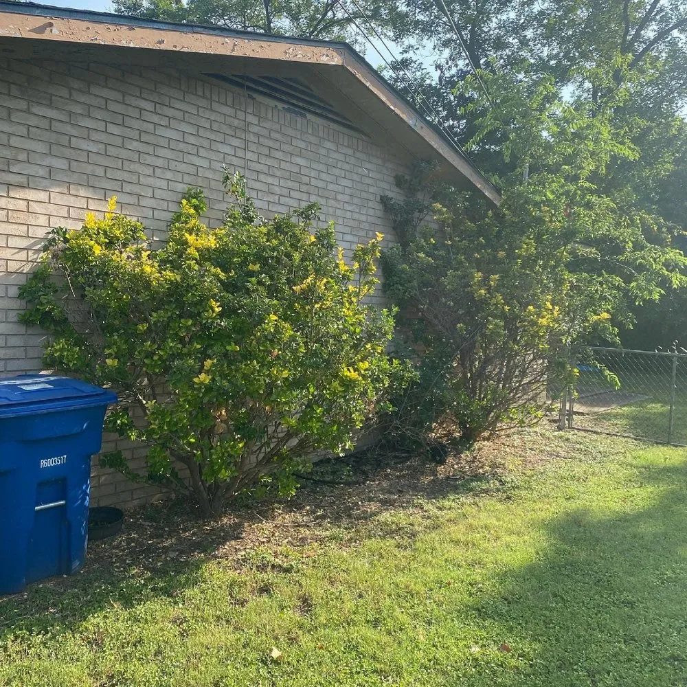 Reliable landscape design experts serving San Antonio, TX - Roland’s Landscaping