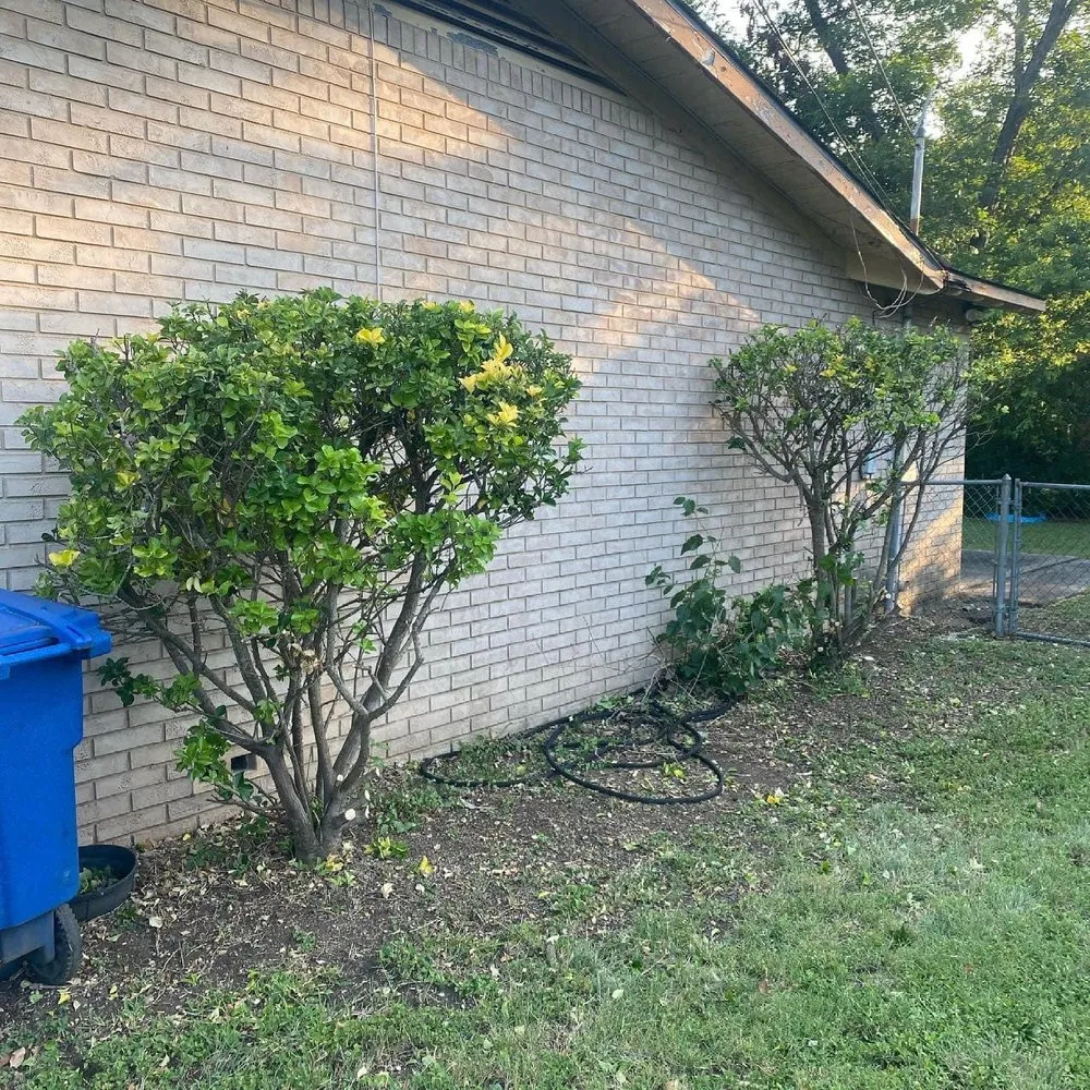 Trusted garden landscaping in San Antonio, TX by Roland’s Landscaping