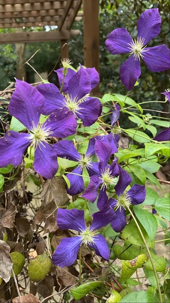 Local garden landscaping near you across Waxahachie, TX - Roland's Nursery & Landscaping