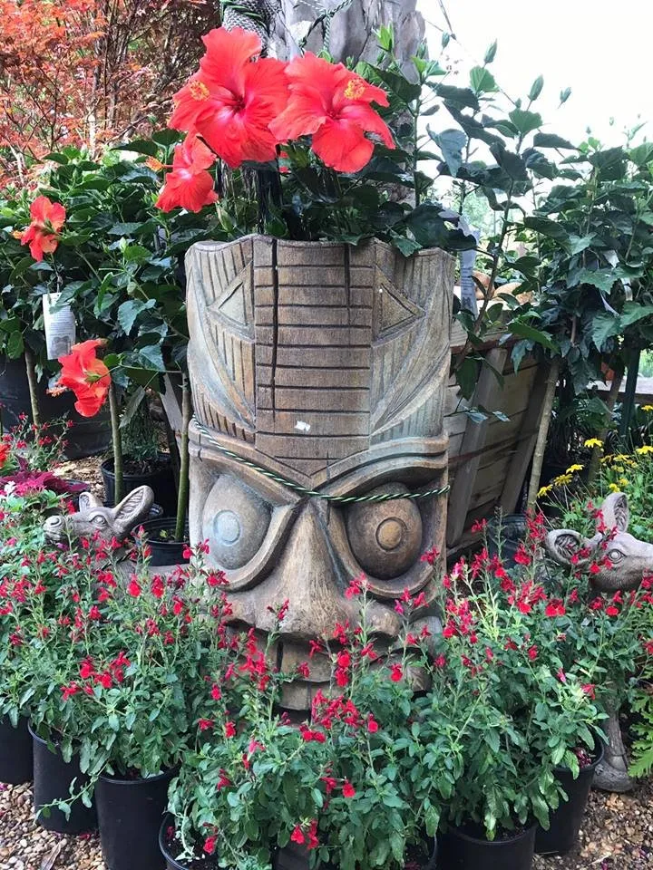 Professional yard cleanup service in Waxahachie, TX by Roland's Nursery & Landscaping