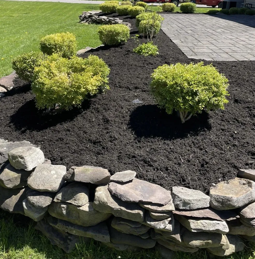 Professional yard cleanup service experts serving Buffalo, NY - Rolax Landscaping