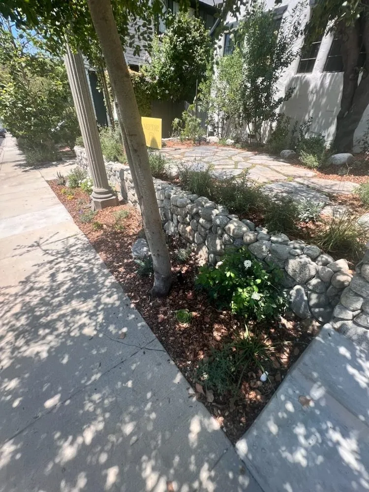 Professional yard cleanup service in Los Angeles, CA by Roldan Brothers Landscaping