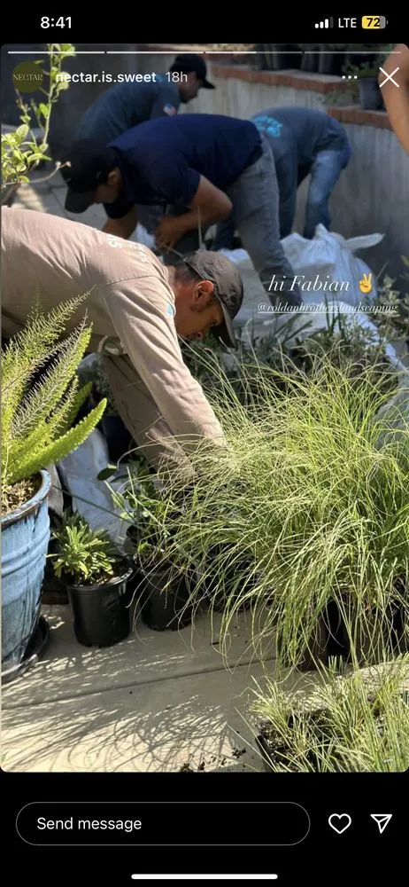 Local landscape installation in Inglewood, CA by Roldan Landscaping