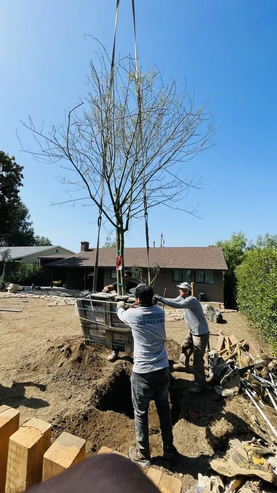 Expert landscaping services for homes in Inglewood, CA by Roldan Landscaping