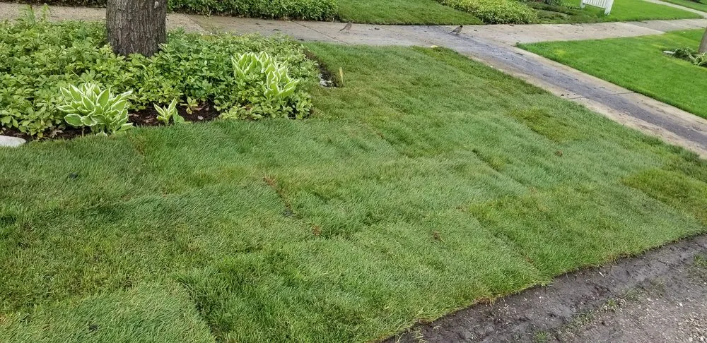 Top-rated landscaping services experts serving Joliet, IL - Roldan Landscaping