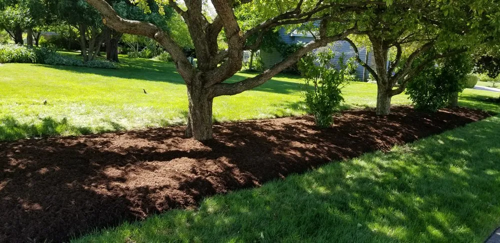Top-rated lawn care service in Joliet, IL - Roldan Landscaping