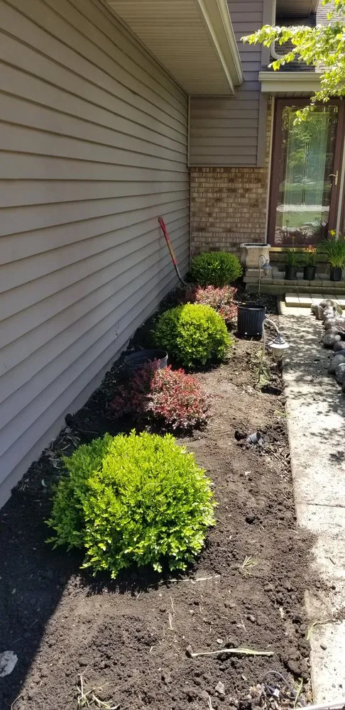 Trusted yard cleanup service experts serving Joliet, IL - Roldan Landscaping