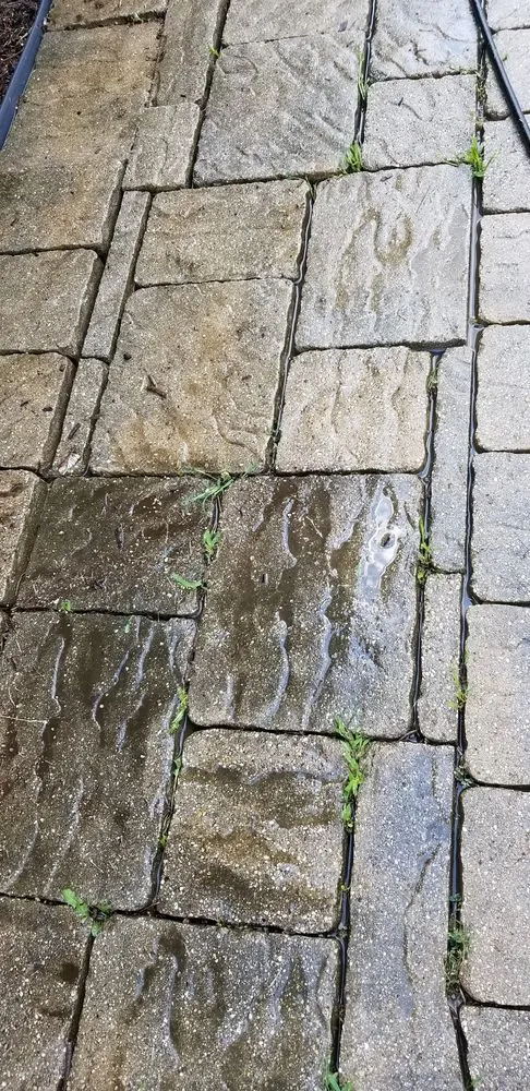 Professional garden landscaping for beautiful yards across Joliet, IL - Roldan Landscaping