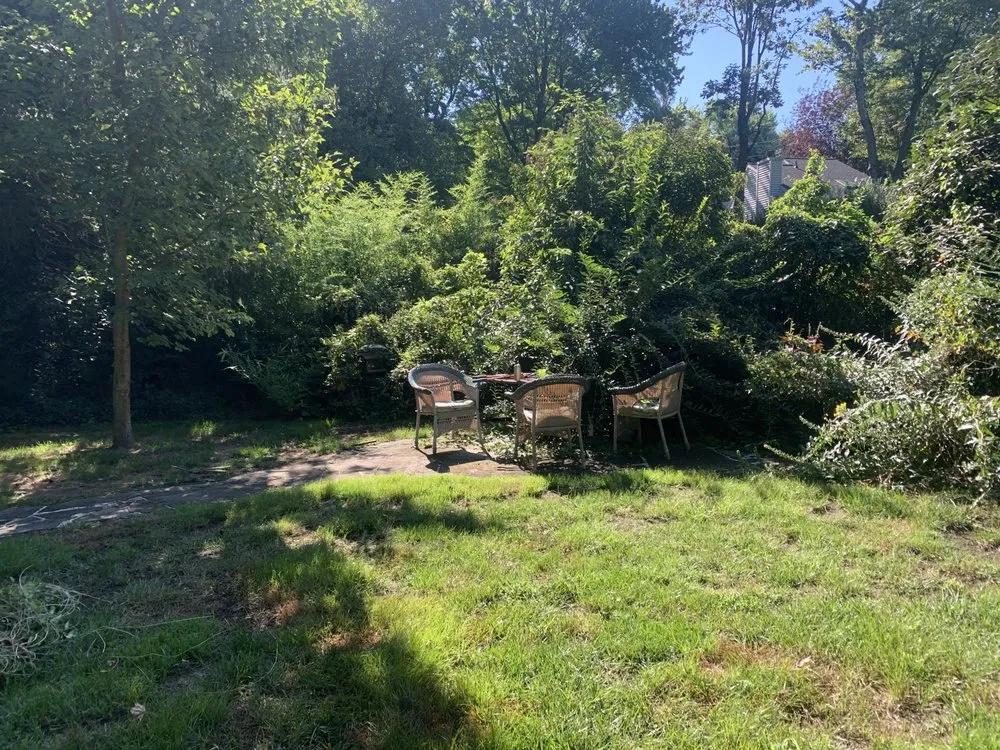 Expert landscaping services in Edgemoor, DE - Role Model Yard Maintenance