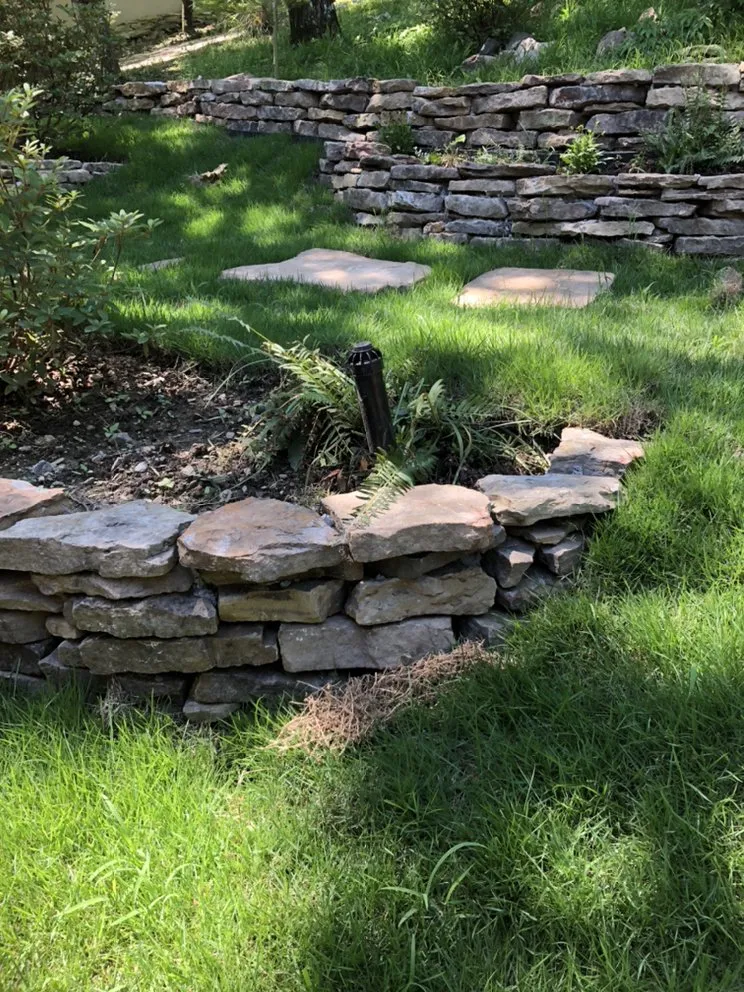 Local lawn care service experts serving Cypress, TX - Rolen Management Services