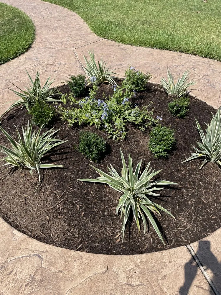 Professional garden landscaping experts serving Cypress, TX - Rolen Management Services