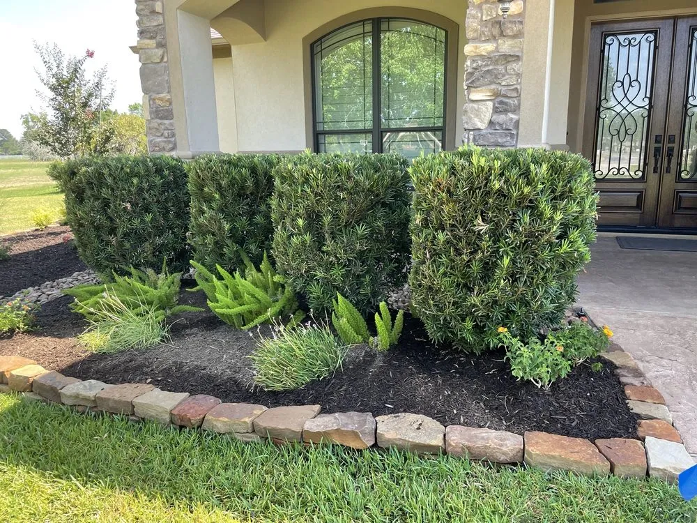 Expert yard maintenance in Cypress, TX by Rolen Management Services