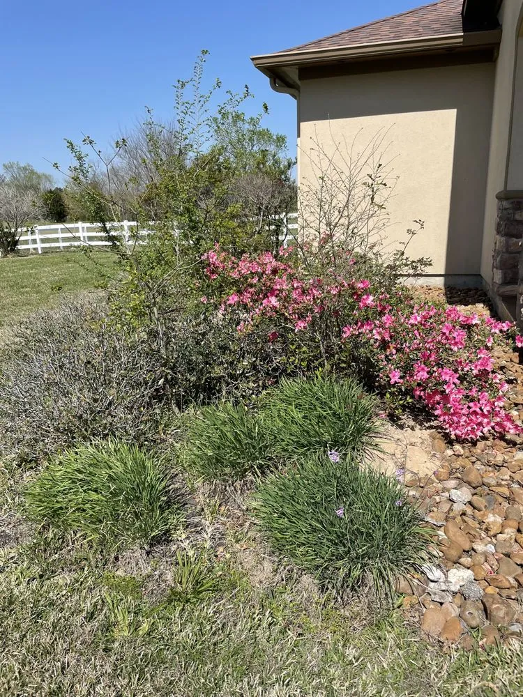 Top-rated landscape installation in Cypress, TX by Rolen Management Services