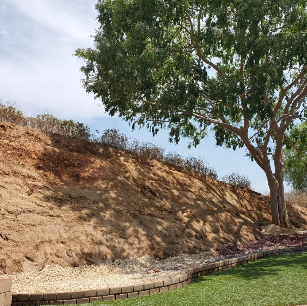 Custom yard cleanup service for beautiful yards across Langley, OK - Roley's Tree Care