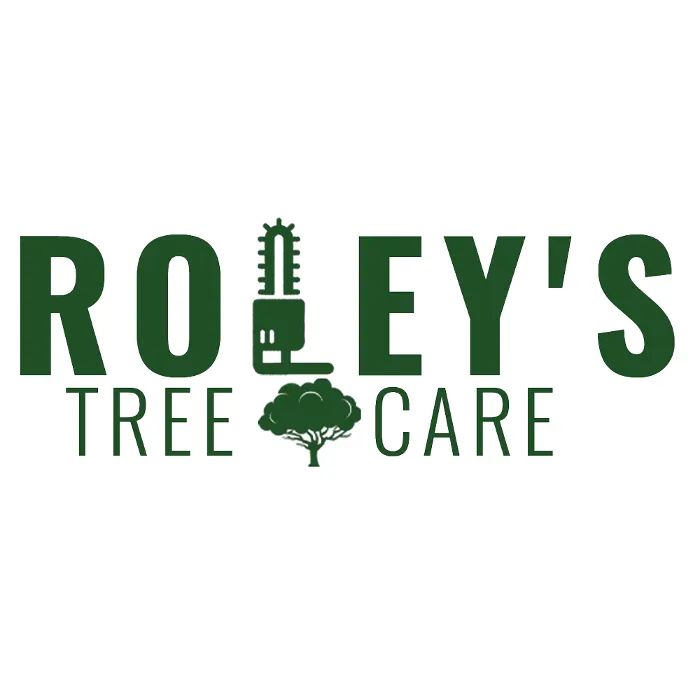 Trusted yard maintenance with custom design across Langley, OK - Roley's Tree Care