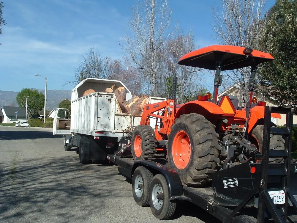 Reliable yard maintenance in Langley, OK by Roley's Tree Care