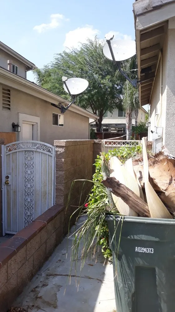 Reliable yard cleanup service for outdoor upgrades across Langley, OK - Roley's Tree Care
