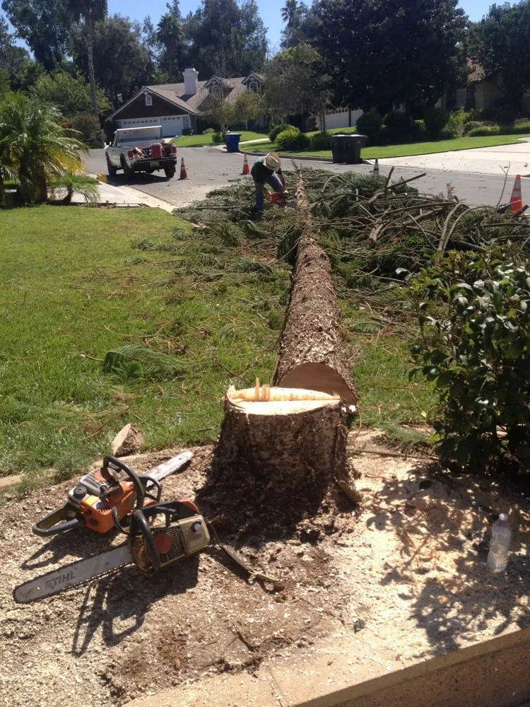 Custom landscape installation in Langley, OK by Roley's Tree Care