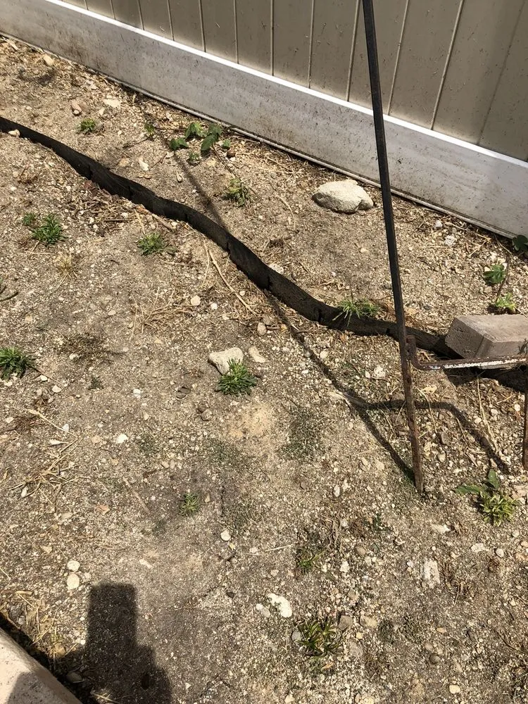 Professional yard cleanup service in Langley, OK by Roley's Tree Care