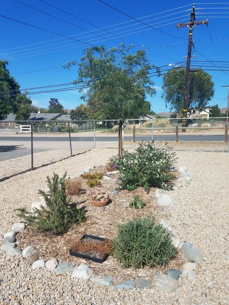 Expert landscape installation in Langley, OK - Roley's Tree Care