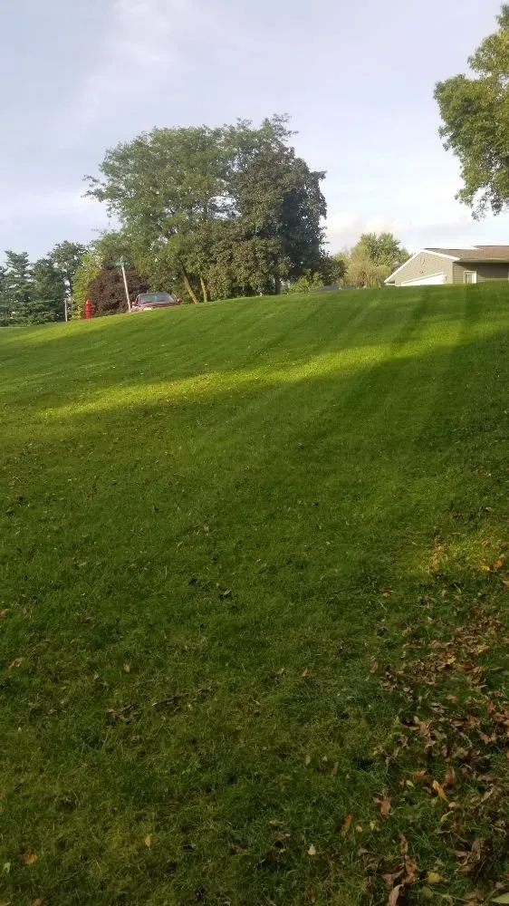 Affordable landscape design for residential properties in Eldora, IA by Roll and Sons Lawn Care